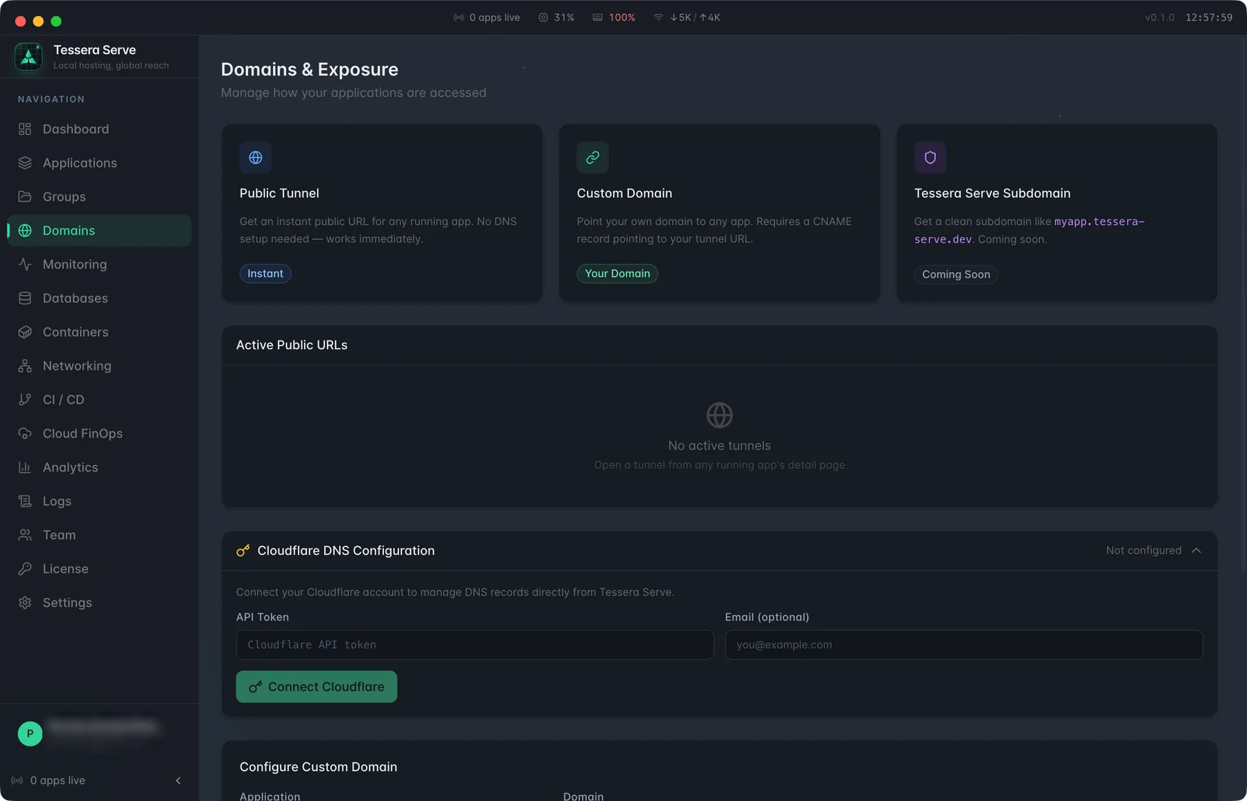 Tessera Serve — Domains